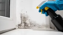 Zo verwijder je zwarte schimmel effectief uit je huis