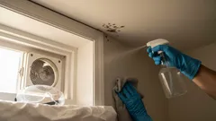 Nooit meer schimmel op je plafond: slimme tips voor een blijvend resultaat